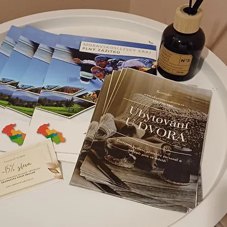 Διαμέρισμα U Dvora *