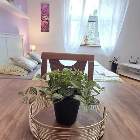 U Dvora Apartment Bohumín