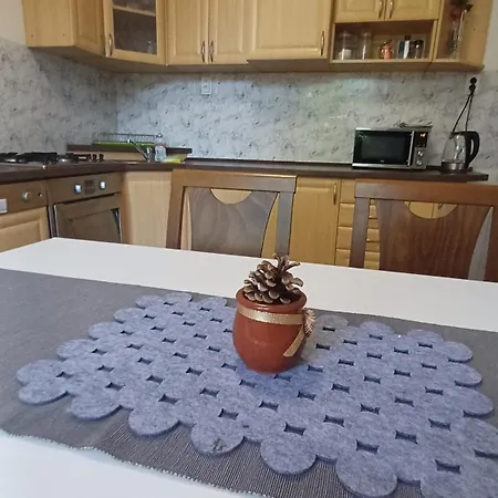 Apartment U Dvora Bohumín