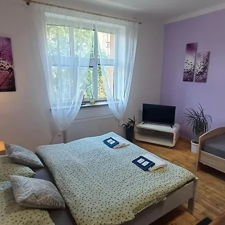 Ubytovaní U Dvora Apartamento Bohumín