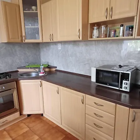 Apartment U Dvora *