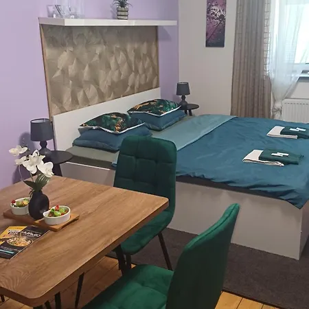 Ubytovaní U Dvora Apartamento Bohumín