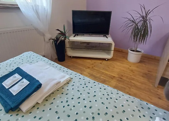 U Dvora * Bohumín