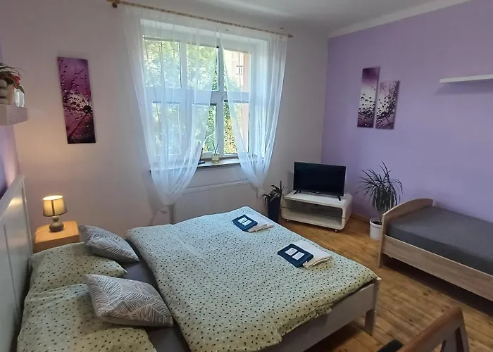 U Dvora 아파트 Bohumín