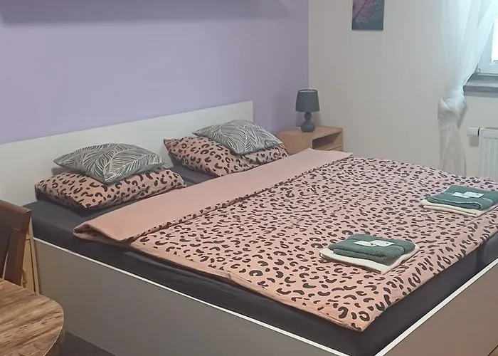 U Dvora * Bohumín